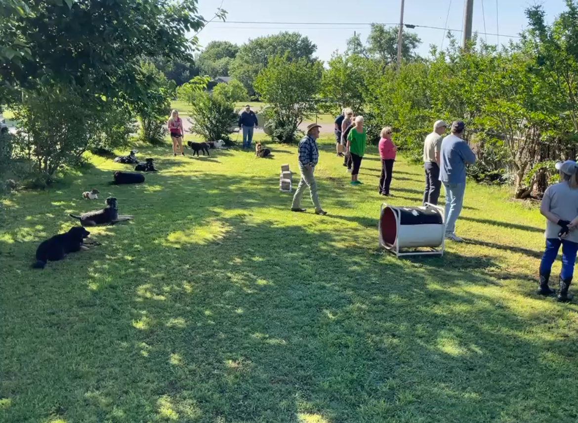 A group of people standing in a grassy field with several dogs lying down in the grass during an outdoor training session.