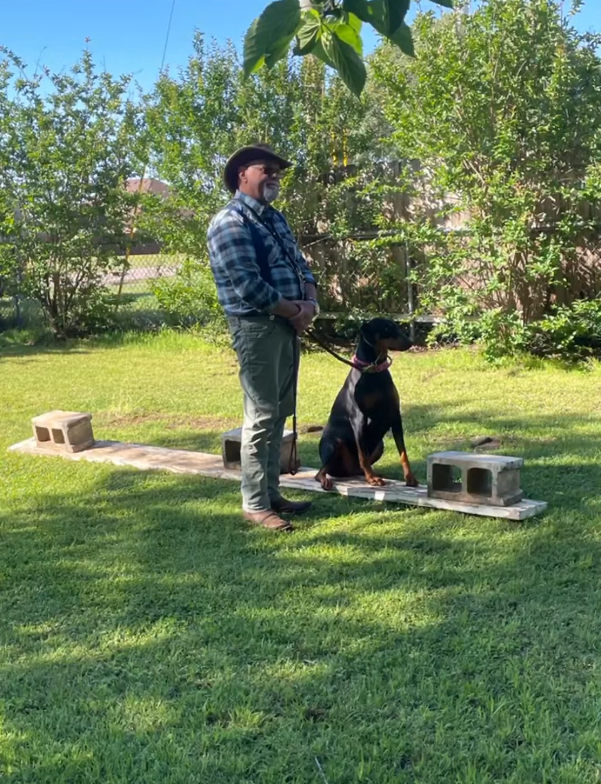 A person in a plaid shirt and hat stands on a wooden plank supported by cinder blocks with a Doberman dog in a yard.
