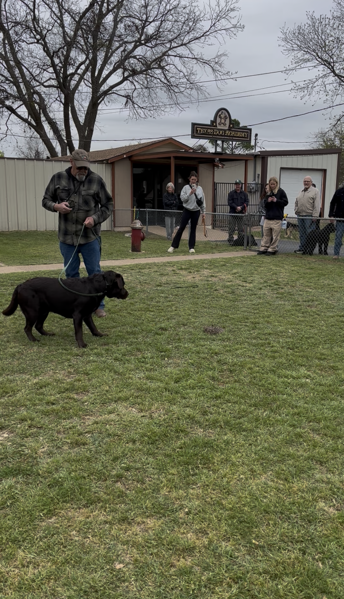 A person holding a black dog on a leash in a grassy field in front of a building with a group of people nearby.