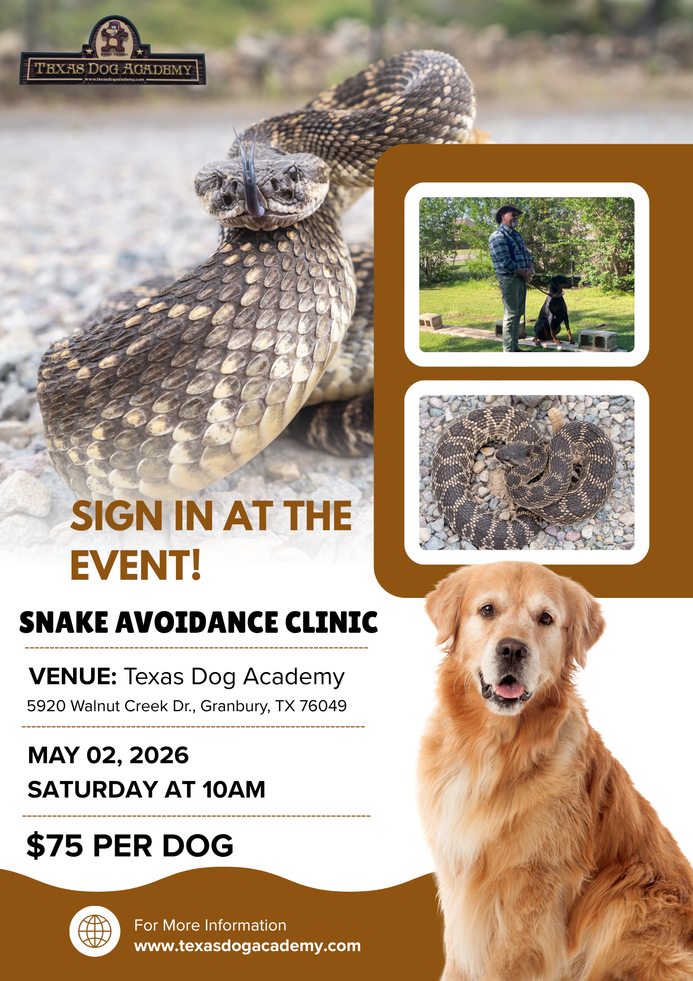 Event flyer for a Snake Avoidance Clinic at Texas Dog Academy on May 2, 2026, featuring a rattlesnake and a golden retriever.