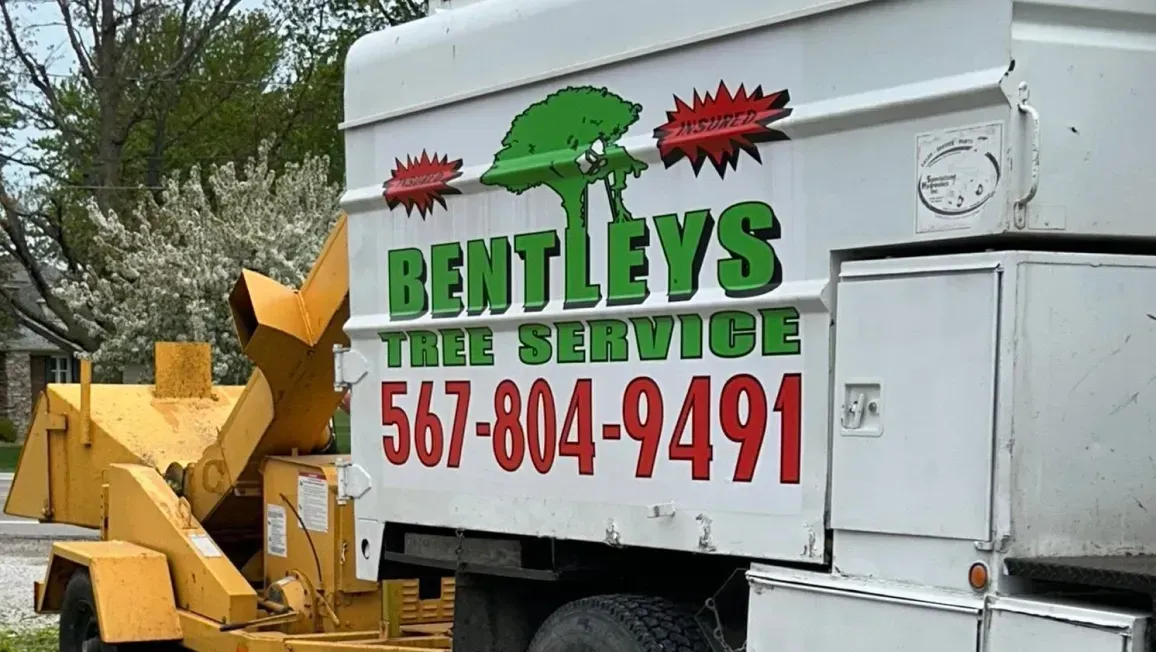 White truck with colorful “Bentley’s Tree Service” sign and phone number 567-804-9491, beside a yellow wood chipper