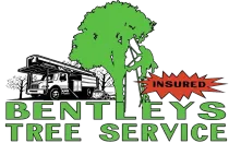 Logo for Bentleys Tree Service featuring a truck, a tree, a person using a ladder, and the word INSURED in a red starburst.