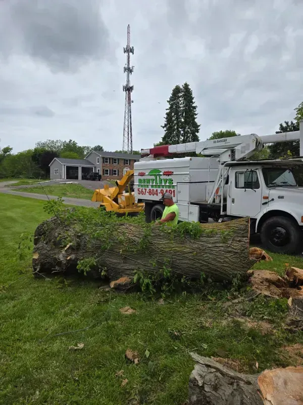 Tree stump beside utility truck and yellow excavator in a grassy field near a tall radio tower