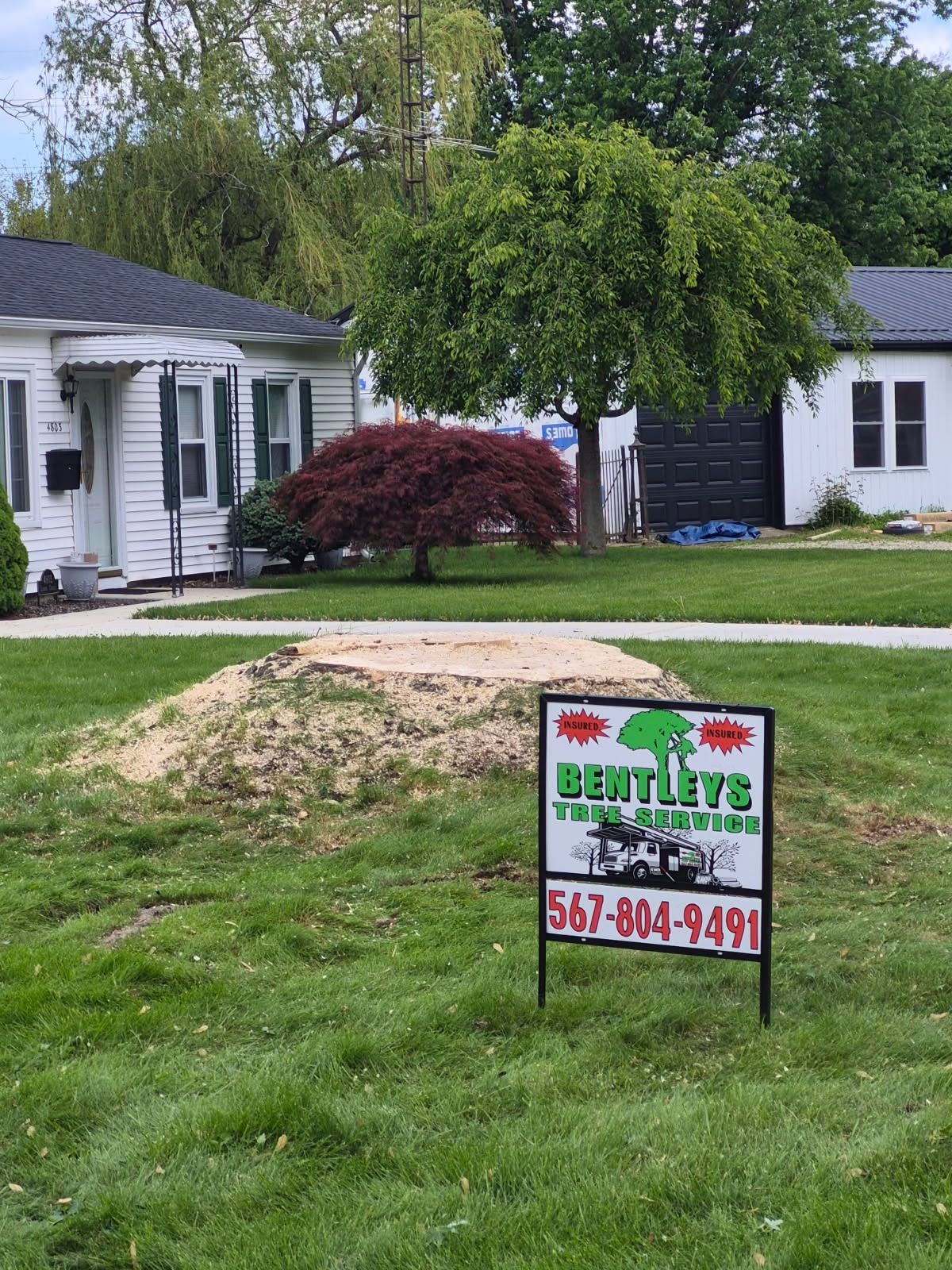 removed stump with a sign in front that says Bentley's tree service