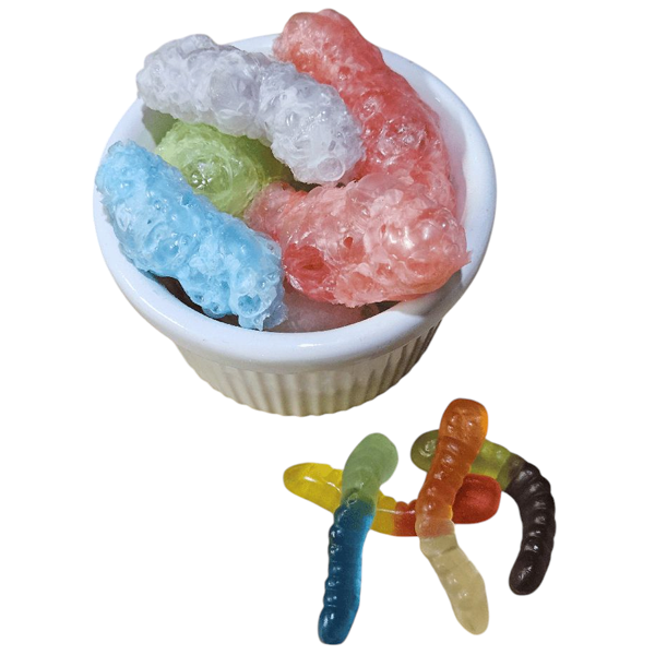 ARCTIC WORMS