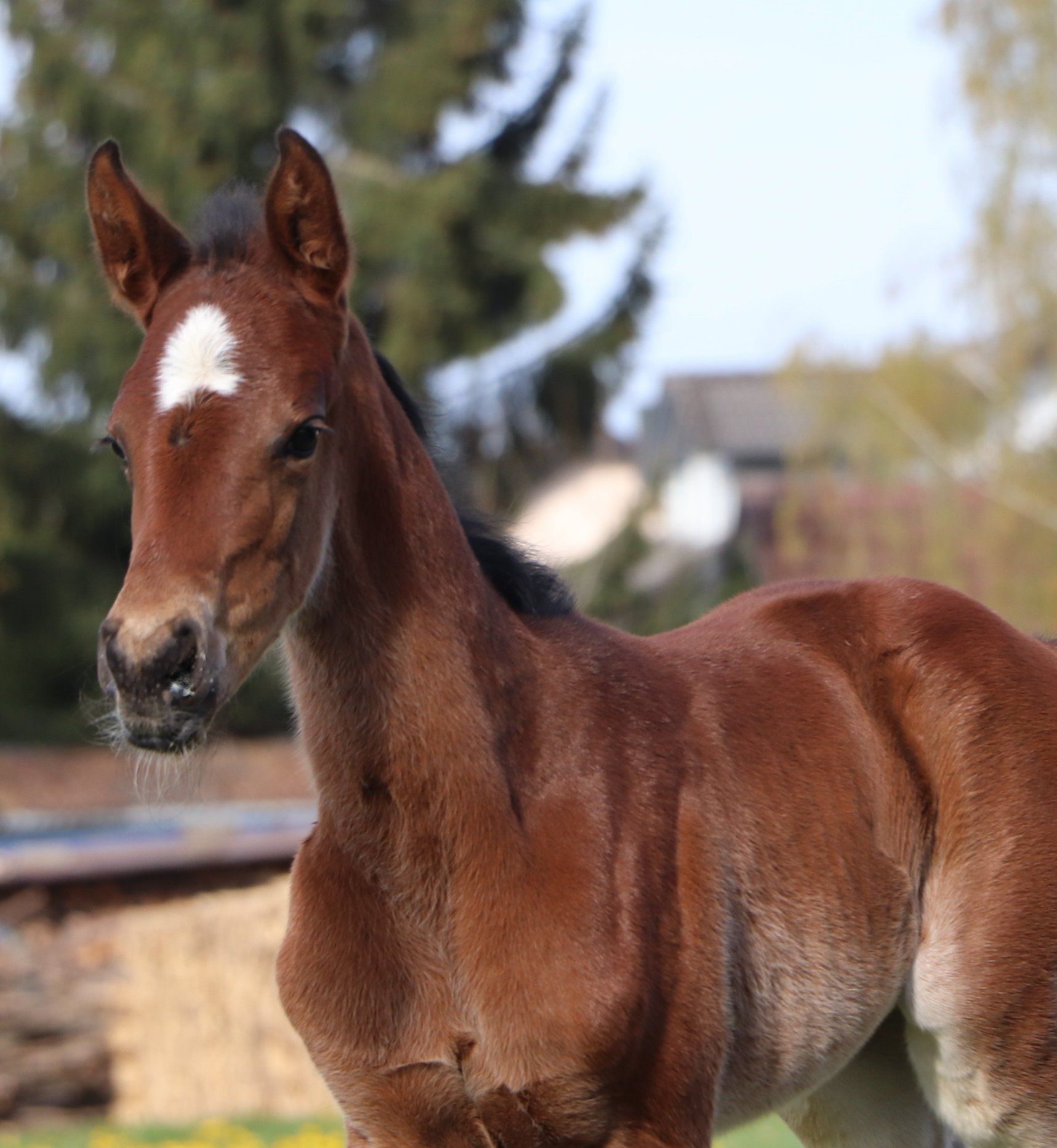 Lilly als Baby