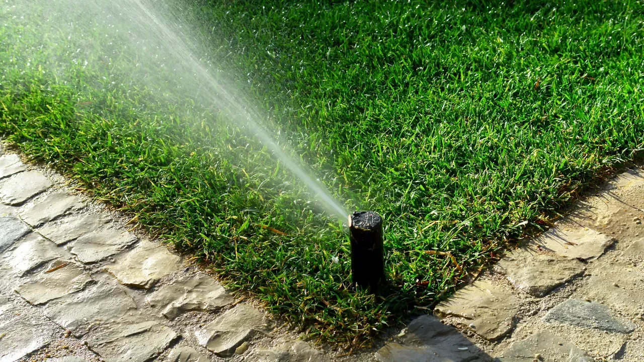 a sprinkler coming out of the grass near a cornered walkway