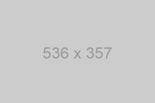 A white background with the number 536 x 357 written on it.