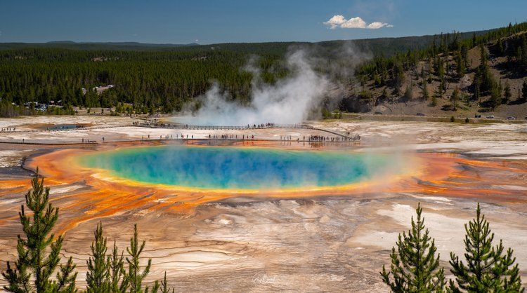 Colorful hot spring with a turquoise center, orange mineral ring, and rising steam in a forested landscape