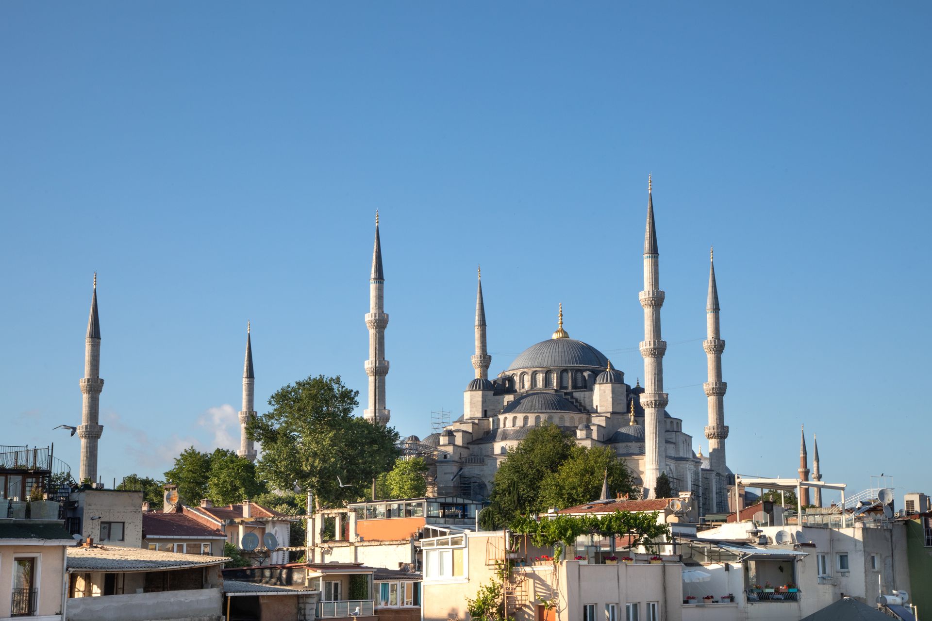 Blue Mosque skyline with tall minarets above city rooftops under a clear blue sky