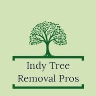 Tree removal Indianapolis