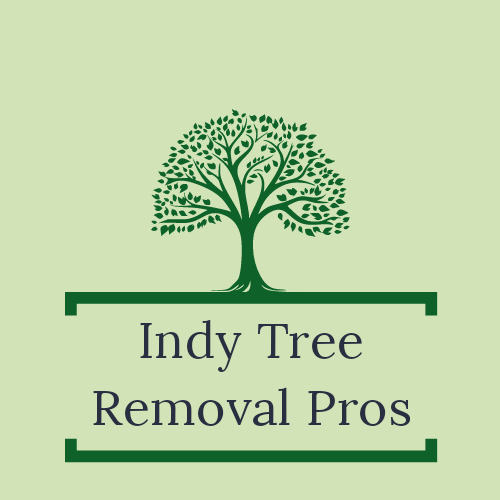 Tree Service Indianapolis best
