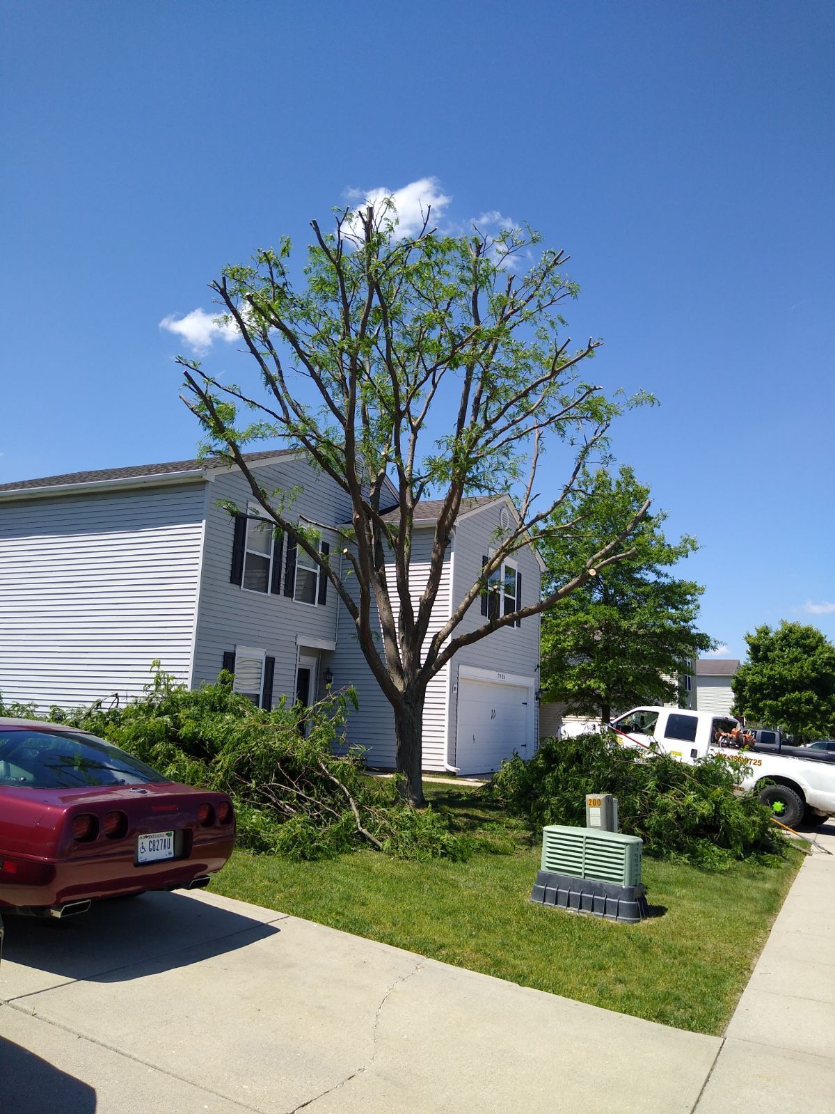 Tree Pruning indianapolis