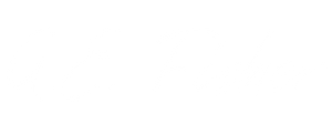 Blank white image.