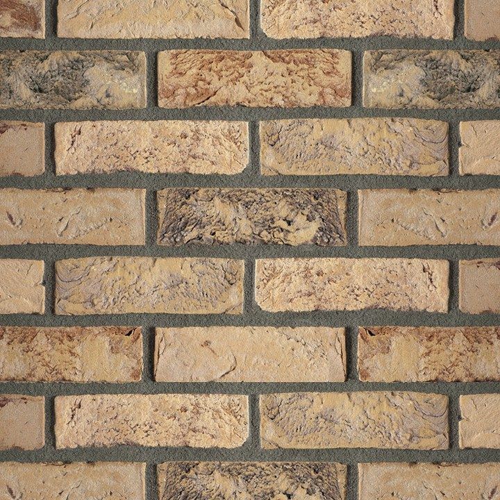 Close-up of a brick wall with varied tan and grey bricks, and dark grey mortar.