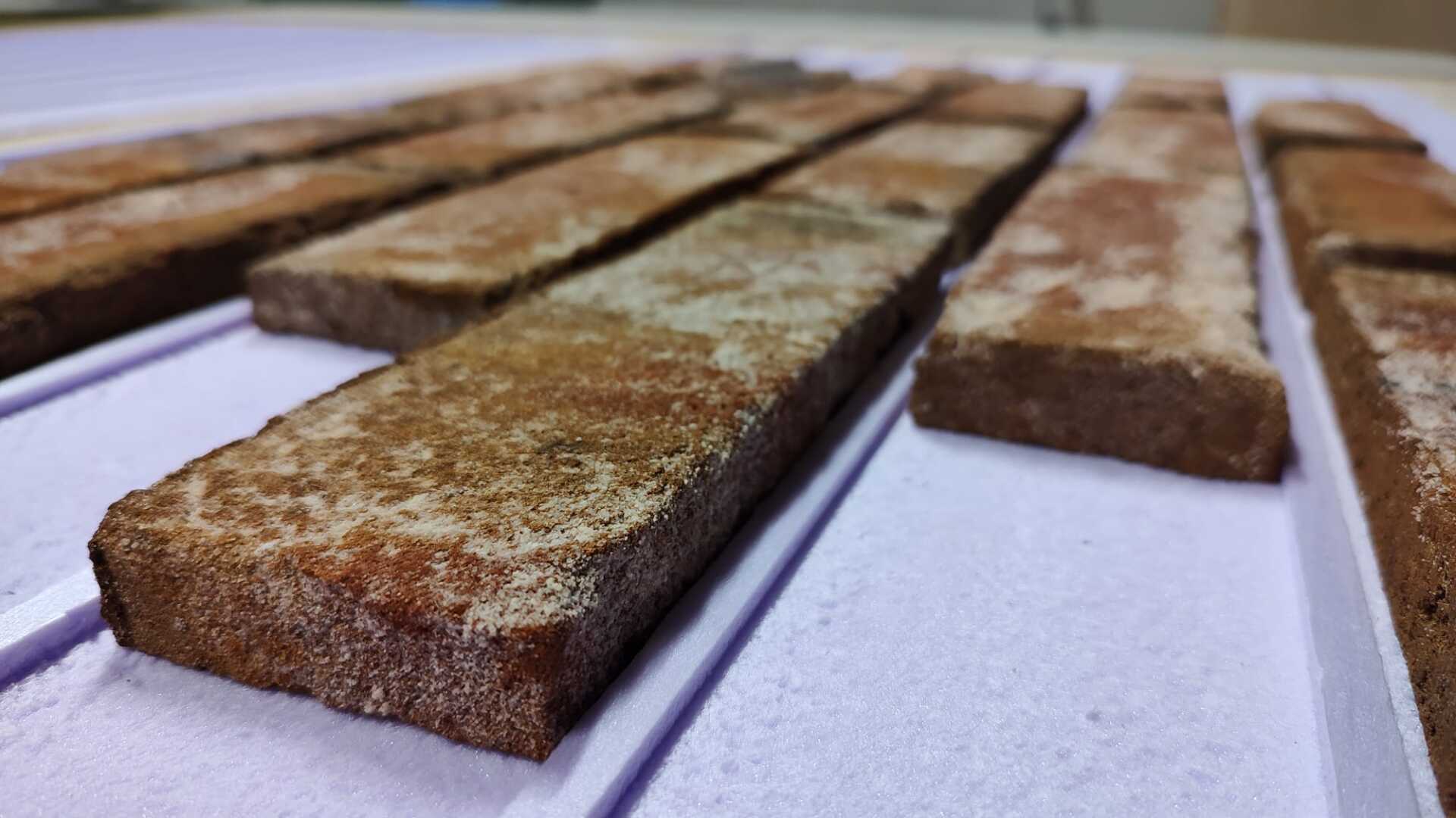 Close-up of several rectangular, reddish-brown bricks with a dusty appearance, resting on a white surface.