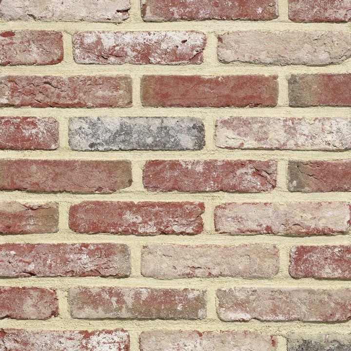 Close-up of a brick wall with varied red, tan, and gray bricks with beige mortar.