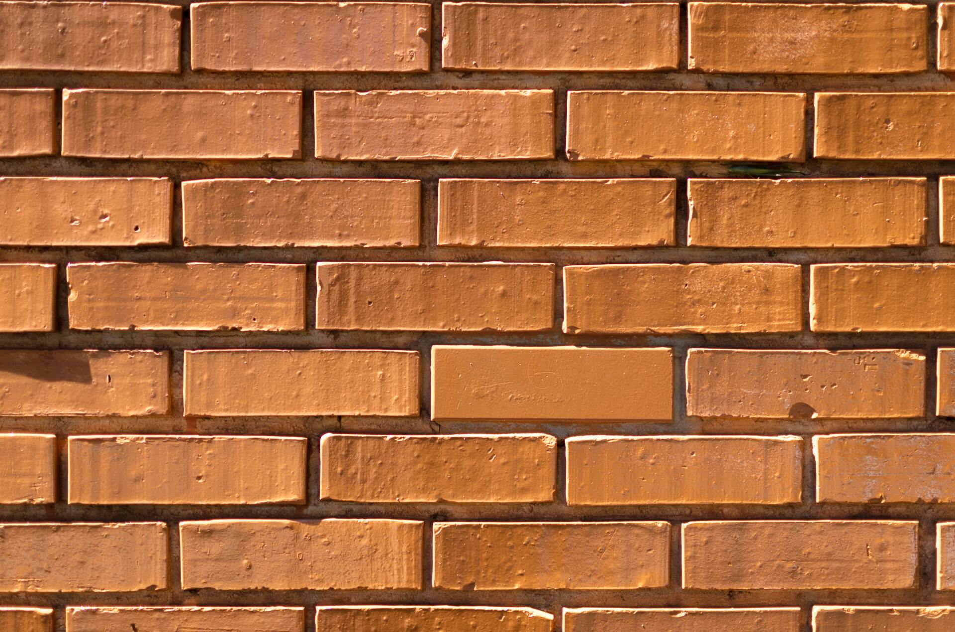 how much do bricks cost