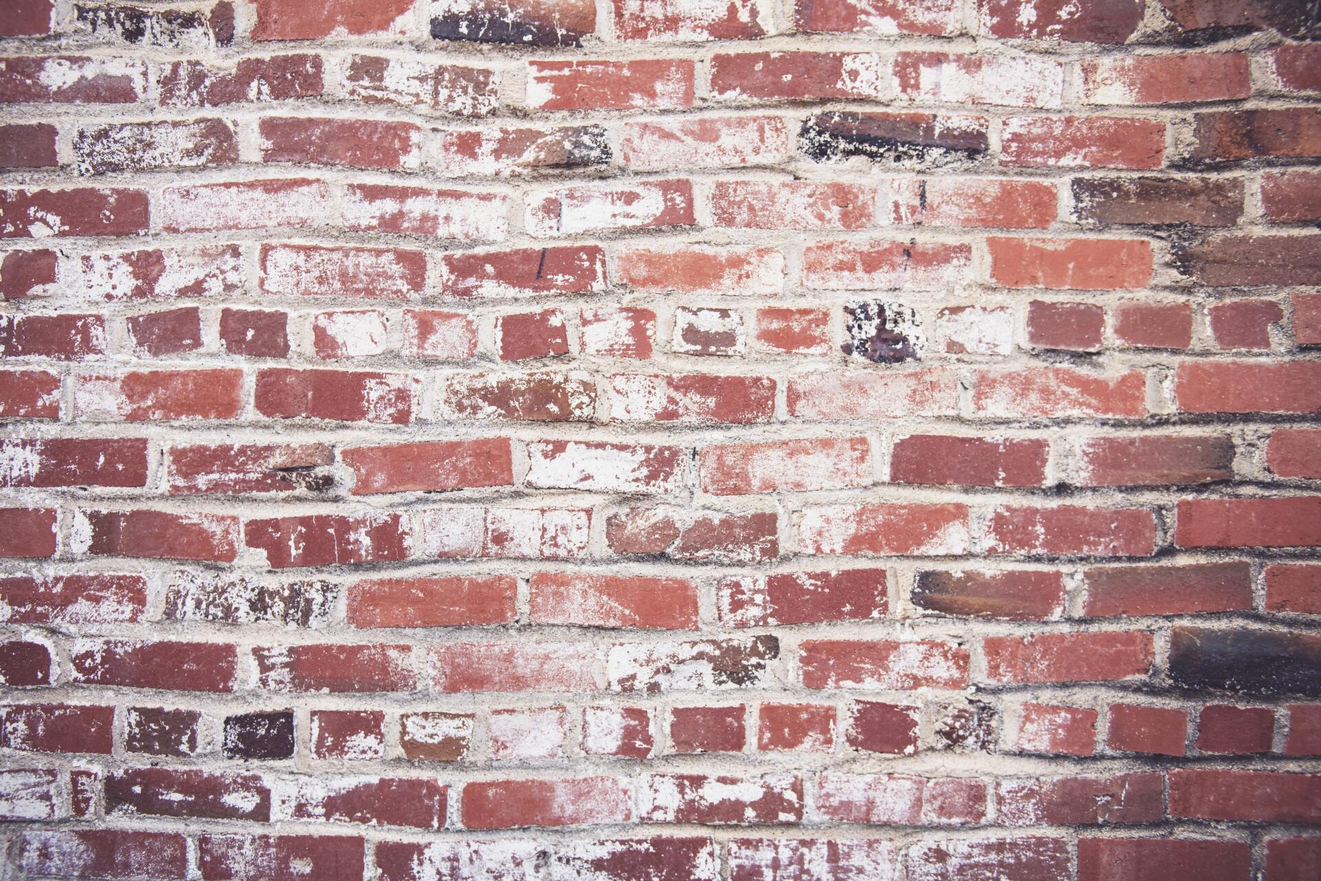 how much do bricks cost each