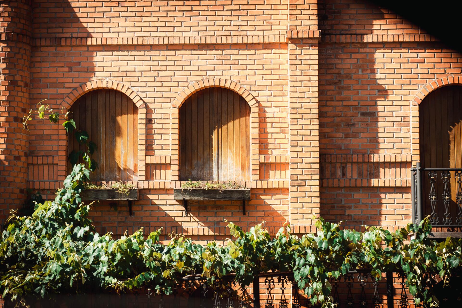 how to clean brick wall