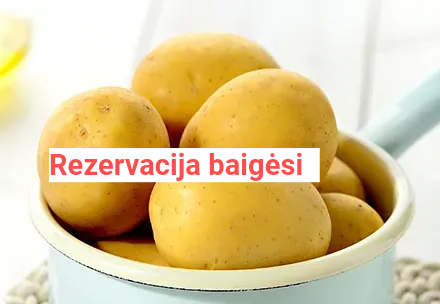 Sėklinės bulvės - Anuschka