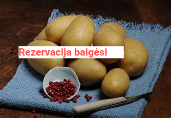 Sėklinės bulvės - Torenia