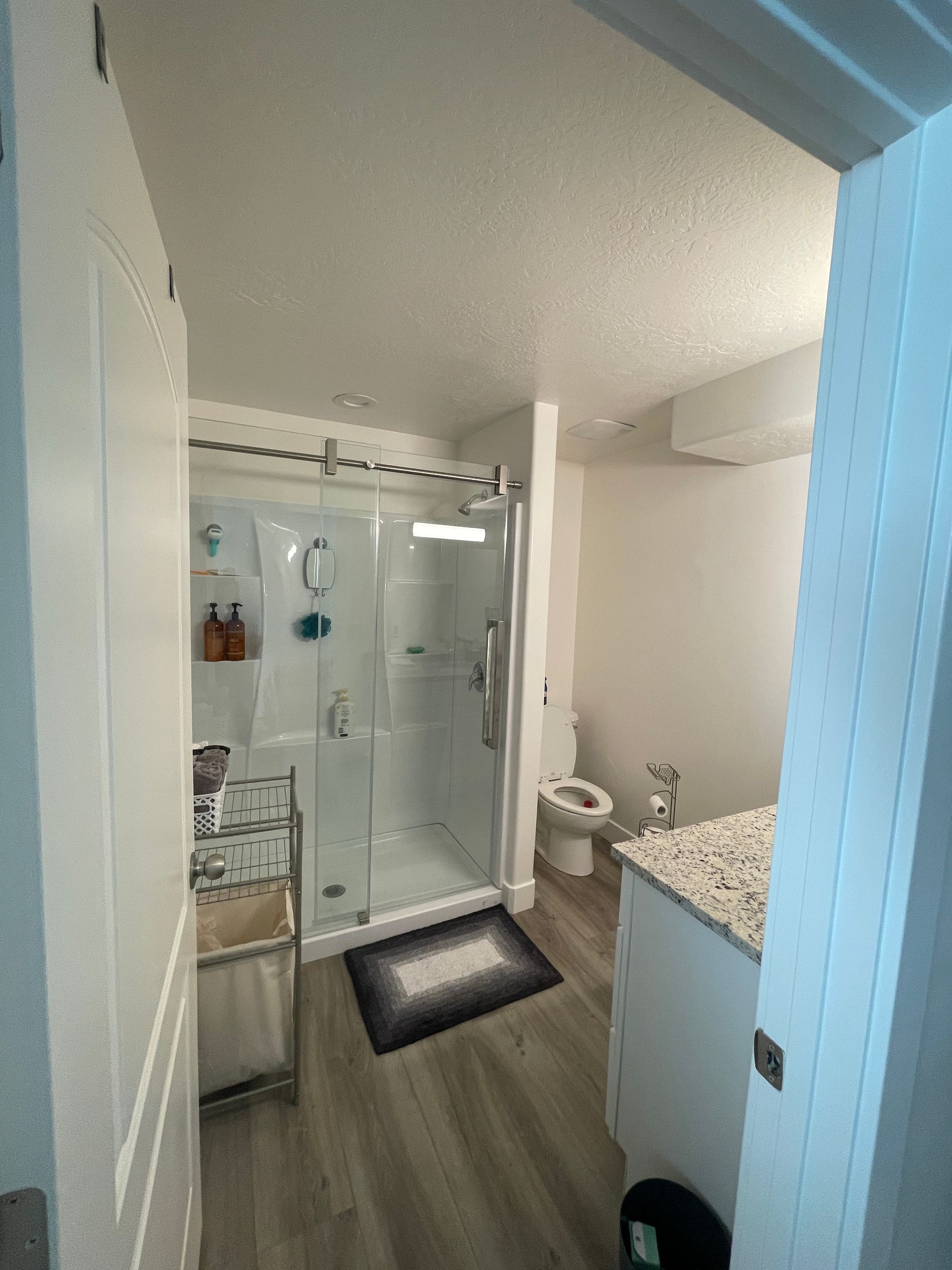 A bathroom with a walk in shower , toilet and sink.