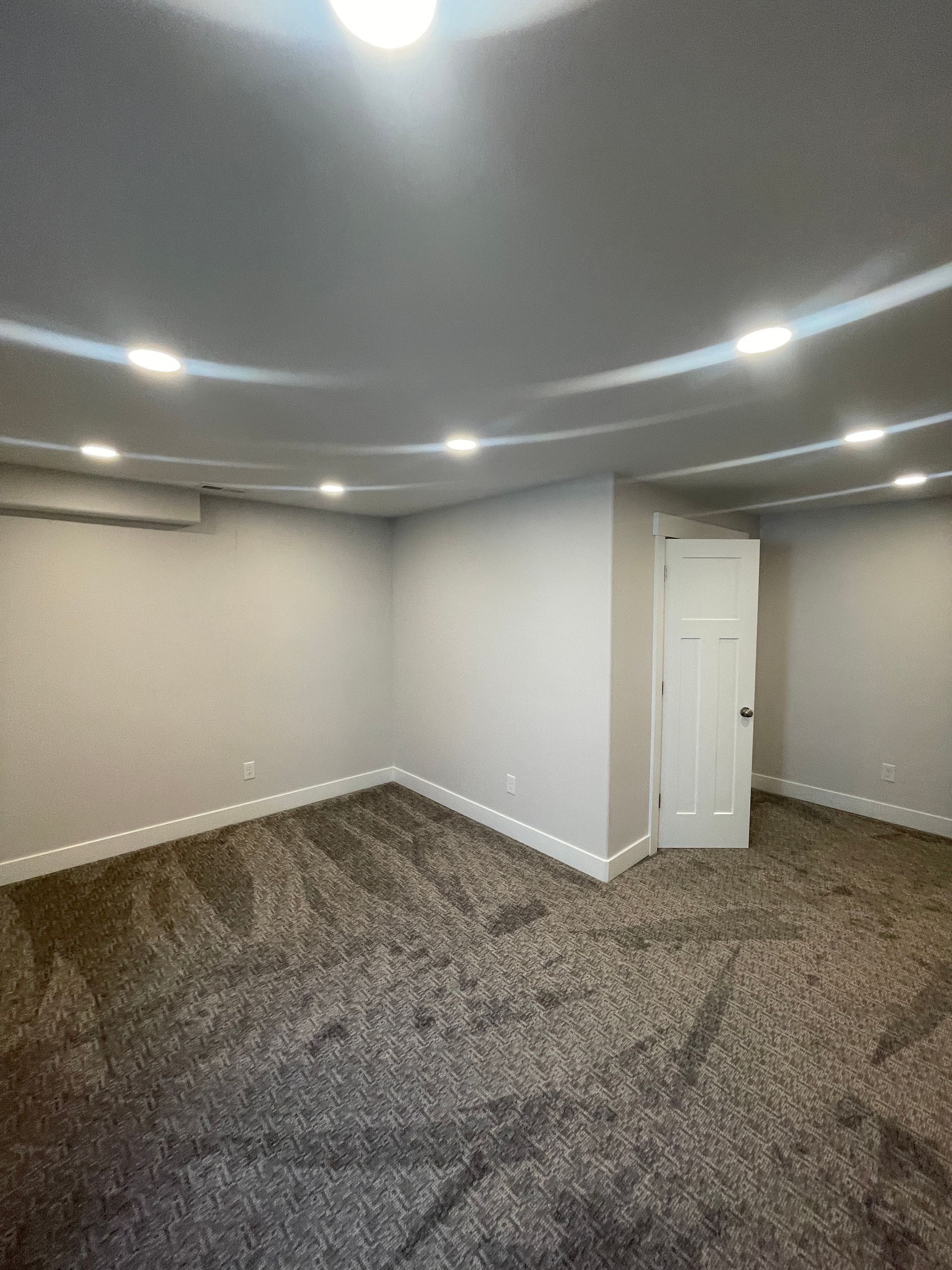 An empty basement with a carpeted floor and a door.
