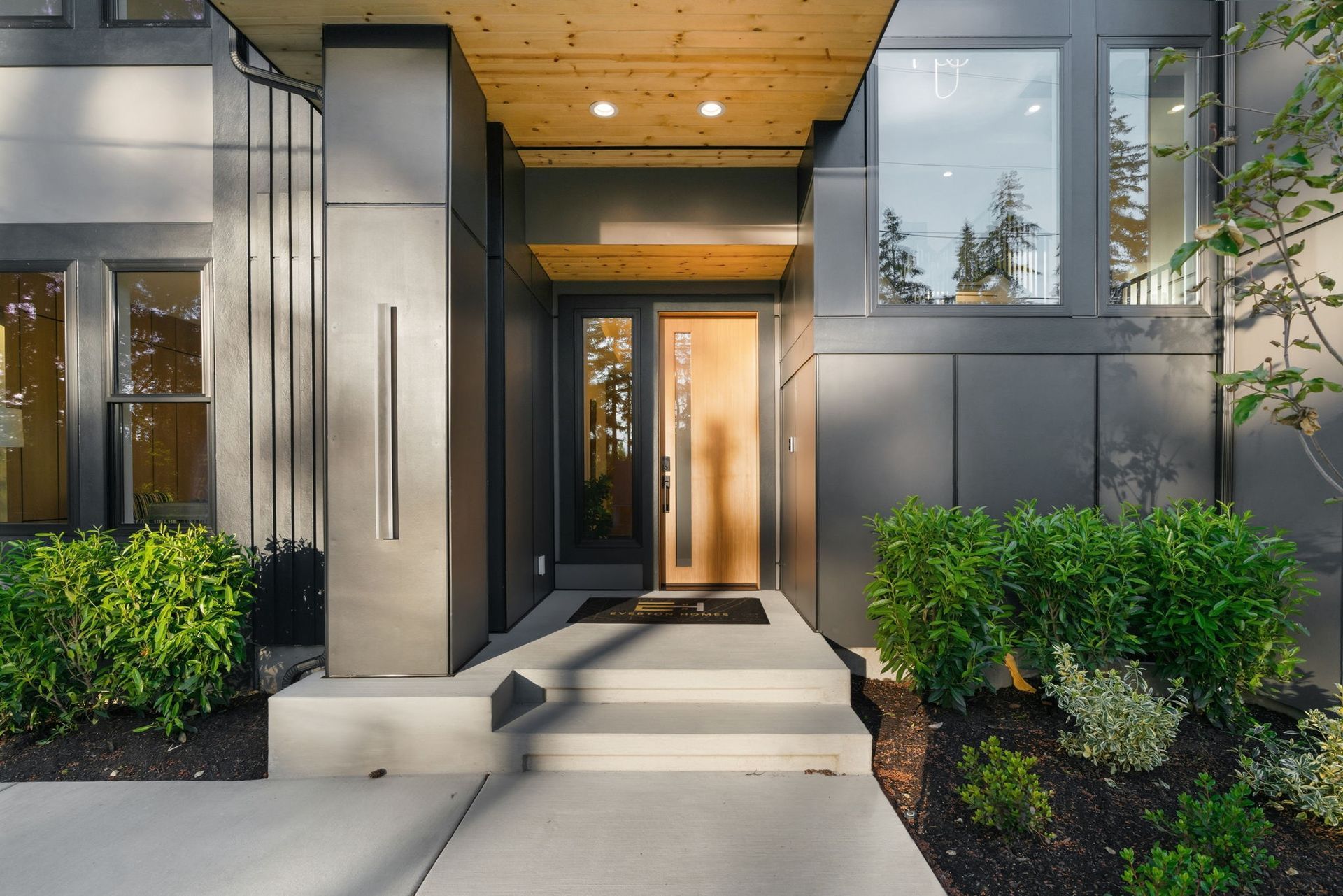 Modern home entrance with concrete steps, warm wood ceiling, and green shrubs on either side