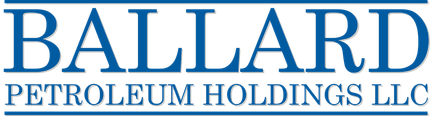 Neset Consulting