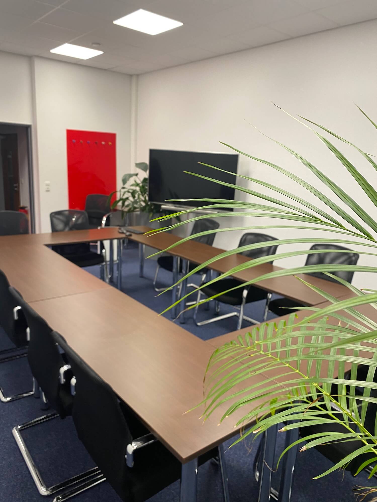 Ein Konferenzraum mit Tischen und Stühlen und einer Pflanze im Vordergrund.