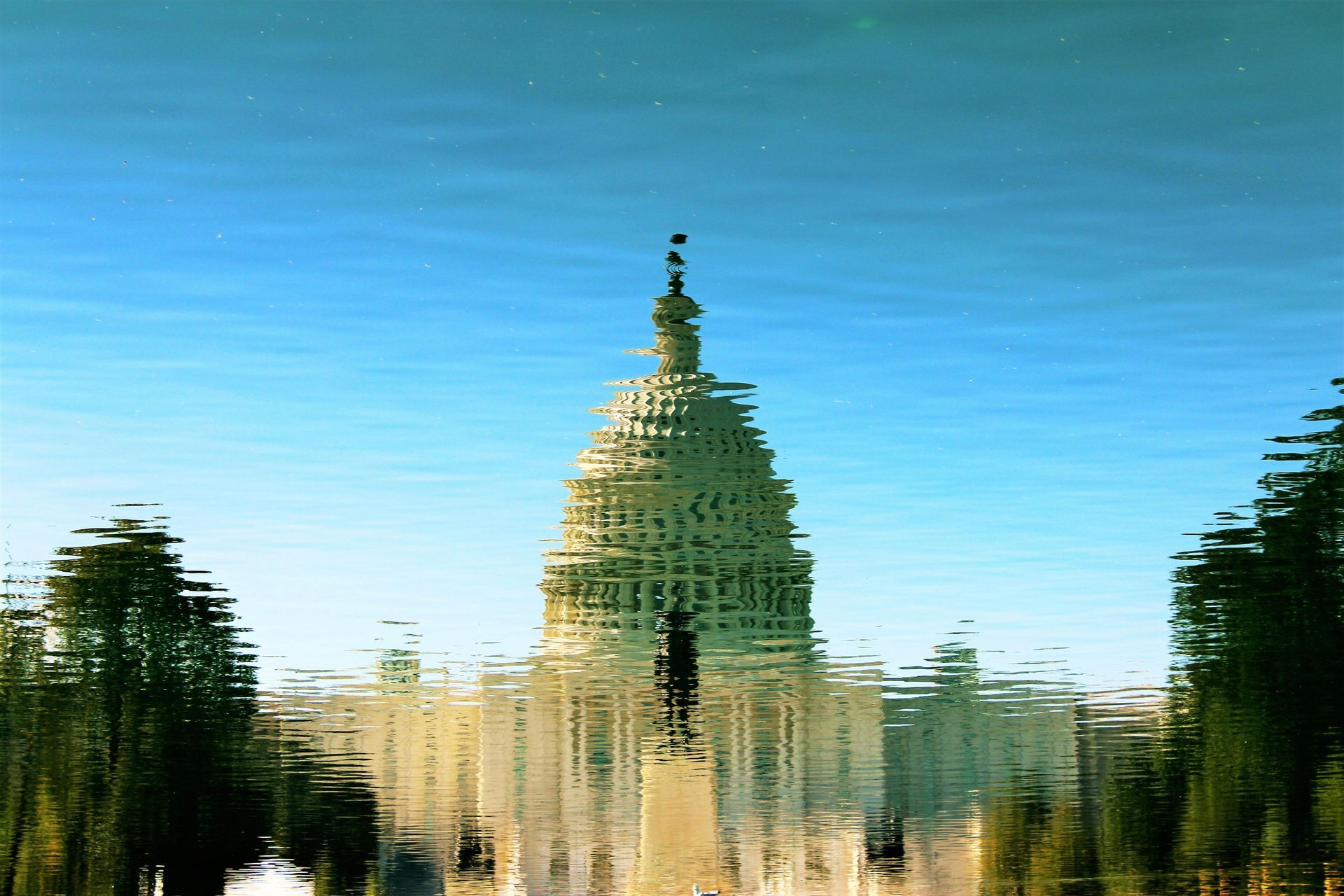 Best travel agency for visa assistance in DC
How to manage property legally in Virginia
Trusted legal and travel services Maryland