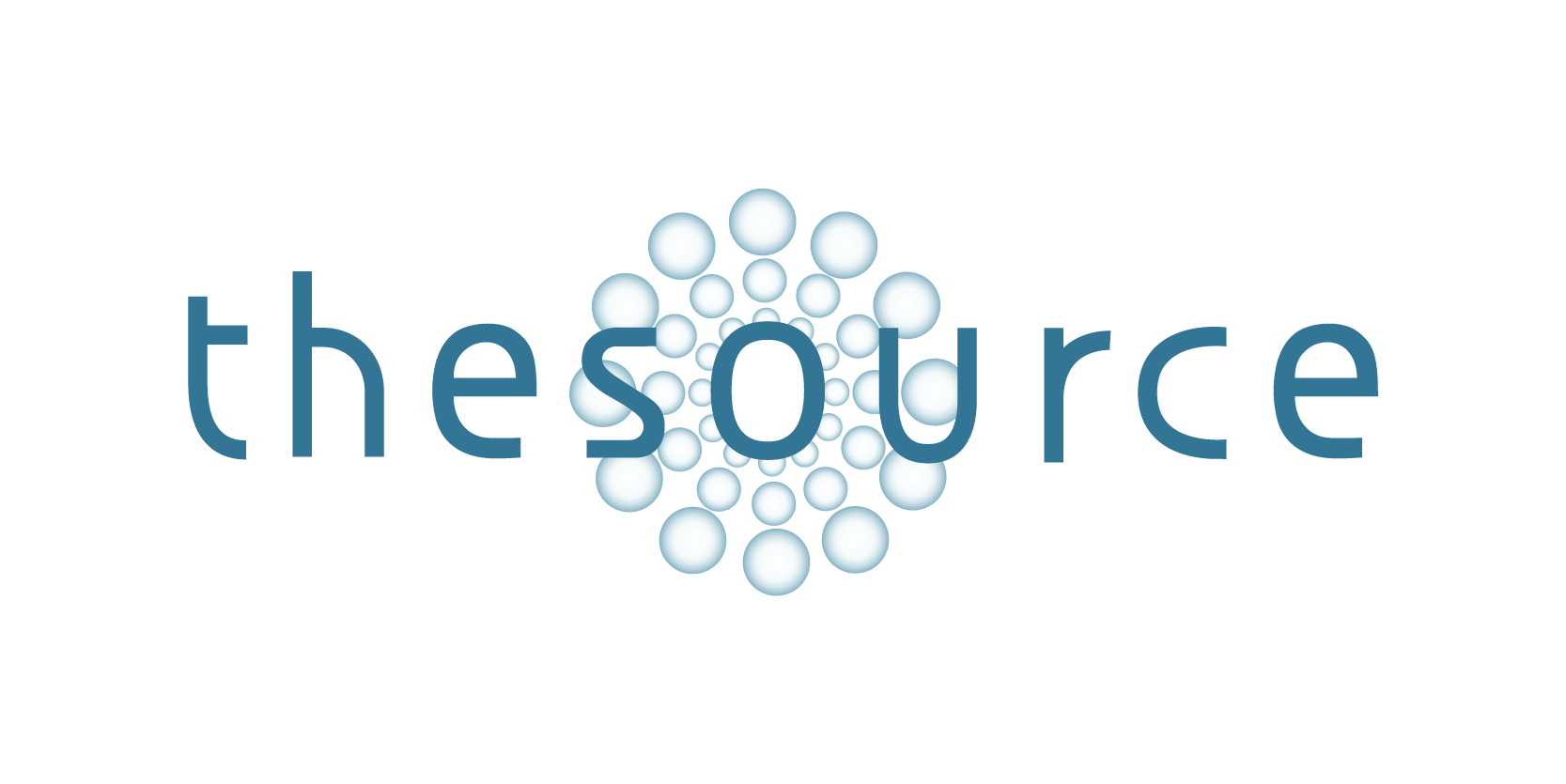 Our client - The Source logo horizontal