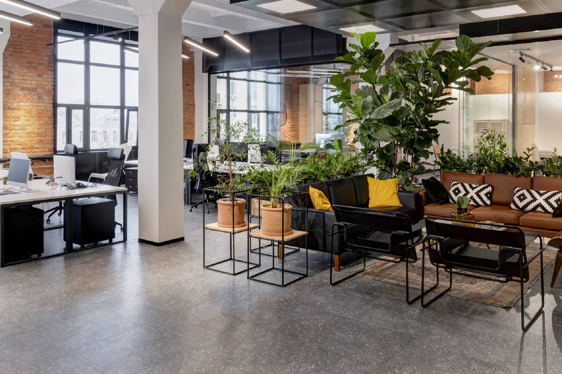 clean and organized office space with desks and plants