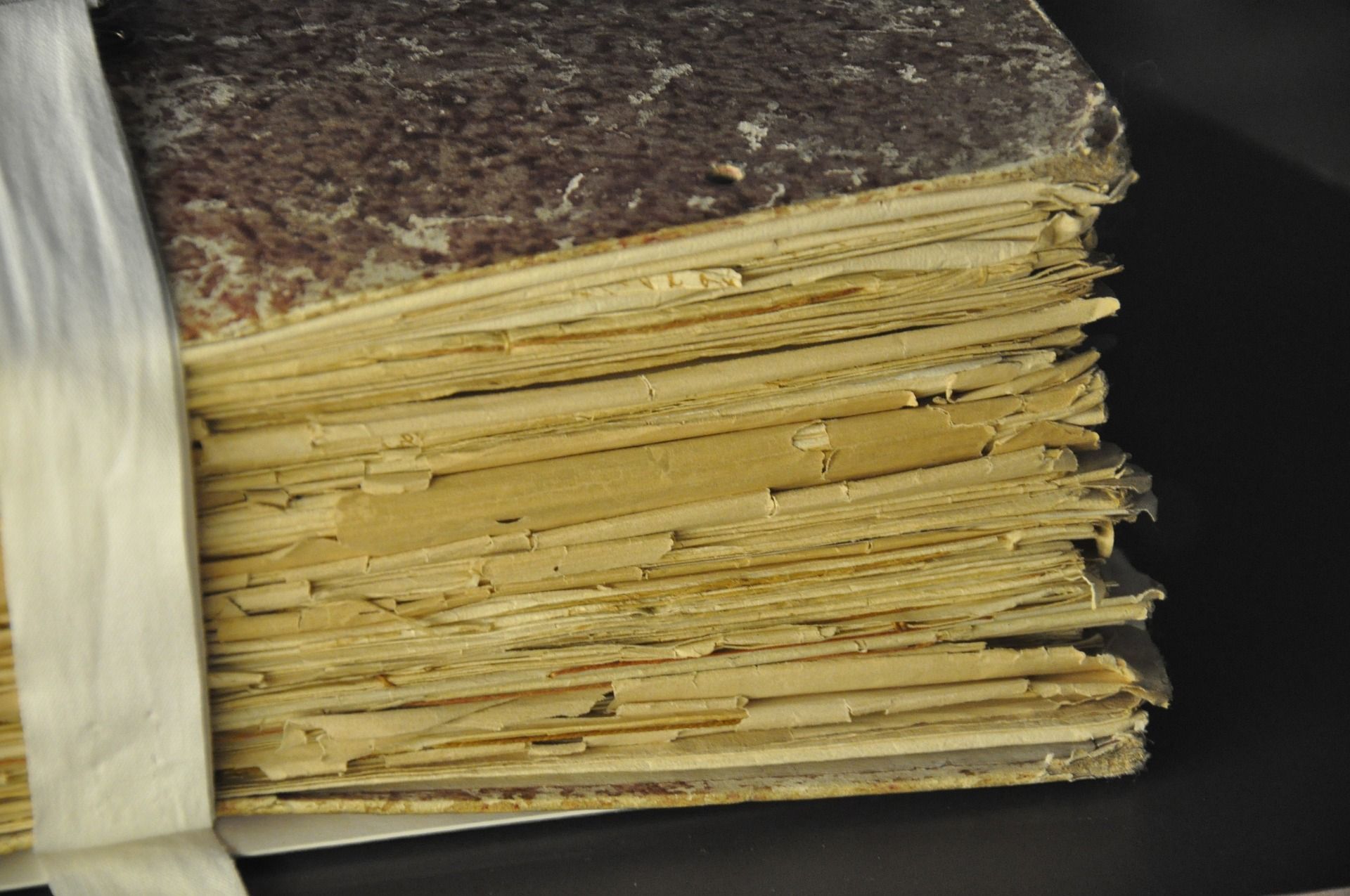 manuscript elmwood collision article
