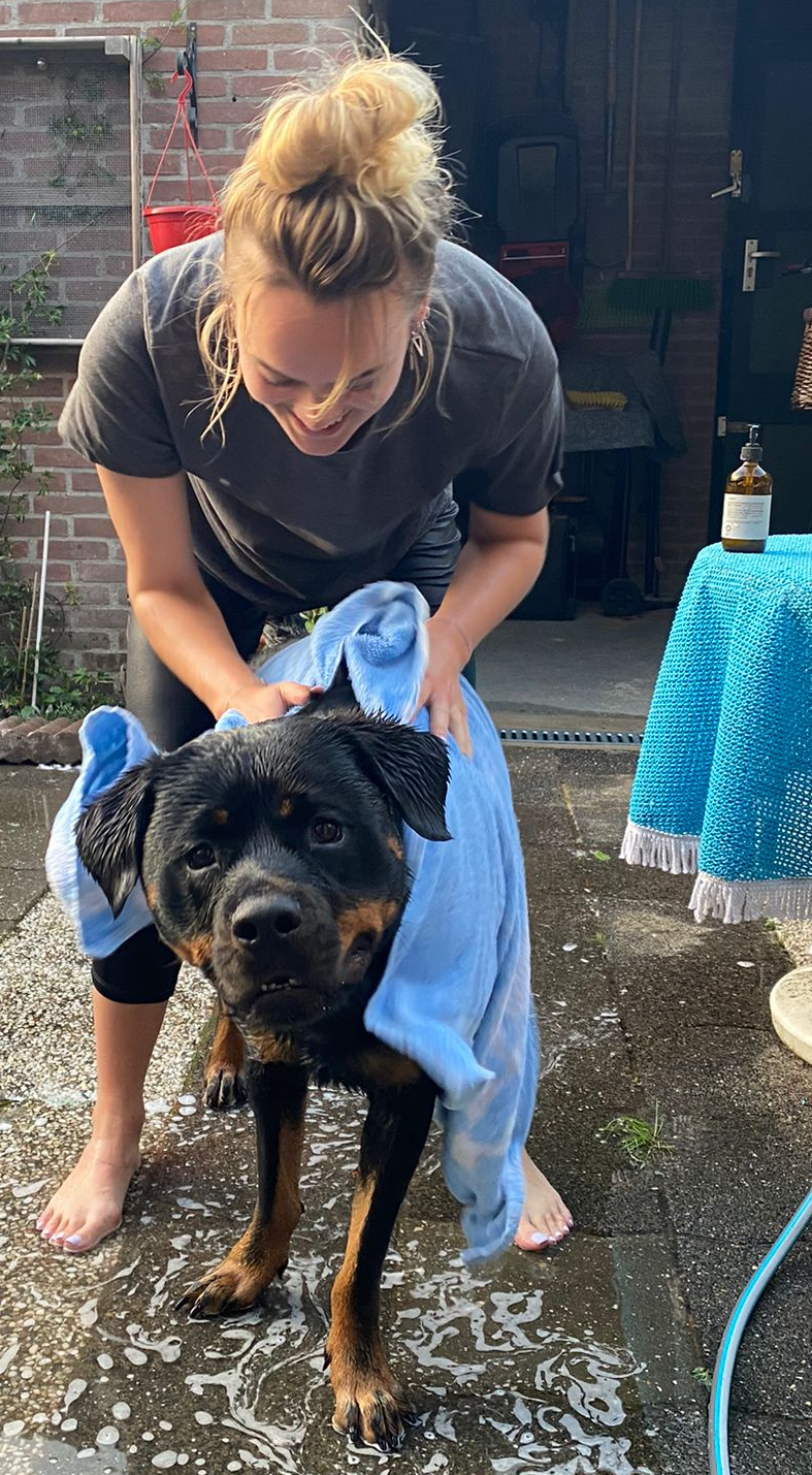 Hondenshampoo en Hondenverzorging ook voor honden met huidproblemen 100% natuurlijk