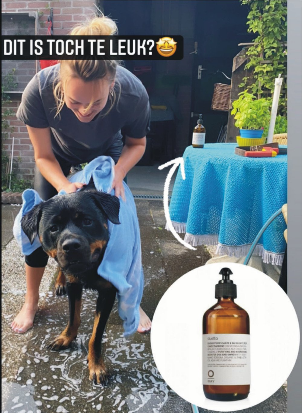 honden shampoo