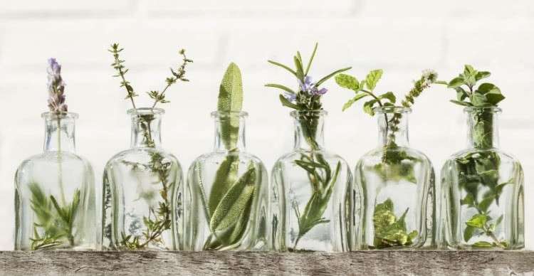 Haarkleuring de duurzame toekomst van natuurlijke plantekleuring
