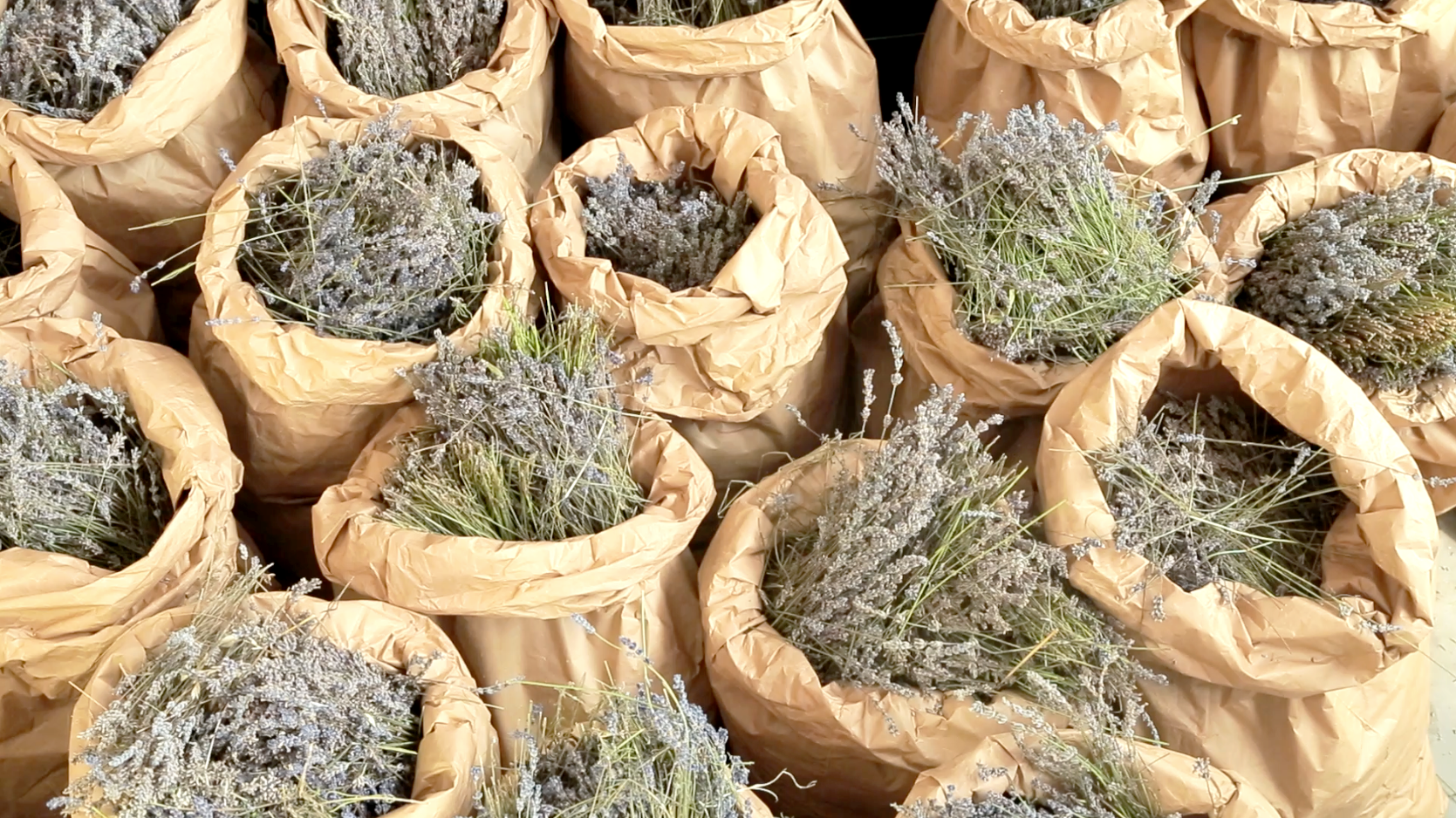 Oway is het eerste merk haarverzorging dat gebruik maakt van 100% zuivere, biologisch-dynamisch