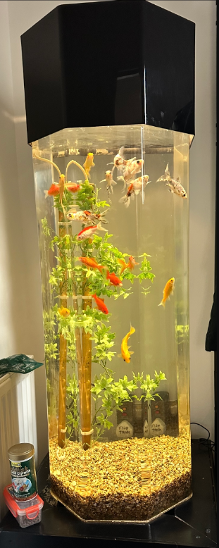 fish tank