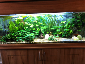 Aquarium