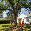 Tree service workers in orange gear pruning a large oak in a suburban yard Tree service workers in orange gear pruning a large oak in a suburban yard