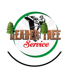 Leader Tree Service Leader Tree Service
