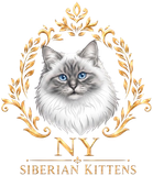 Gray-blue kitten logo with gold floral wreath and the text “NY Siberian Kittens”