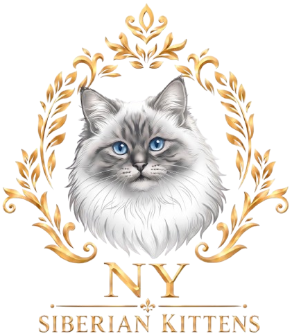 Gray-blue kitten logo with gold floral wreath and the text “NY Siberian Kittens”
