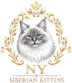 Gray-blue kitten logo with gold floral wreath and the text “NY Siberian Kittens”