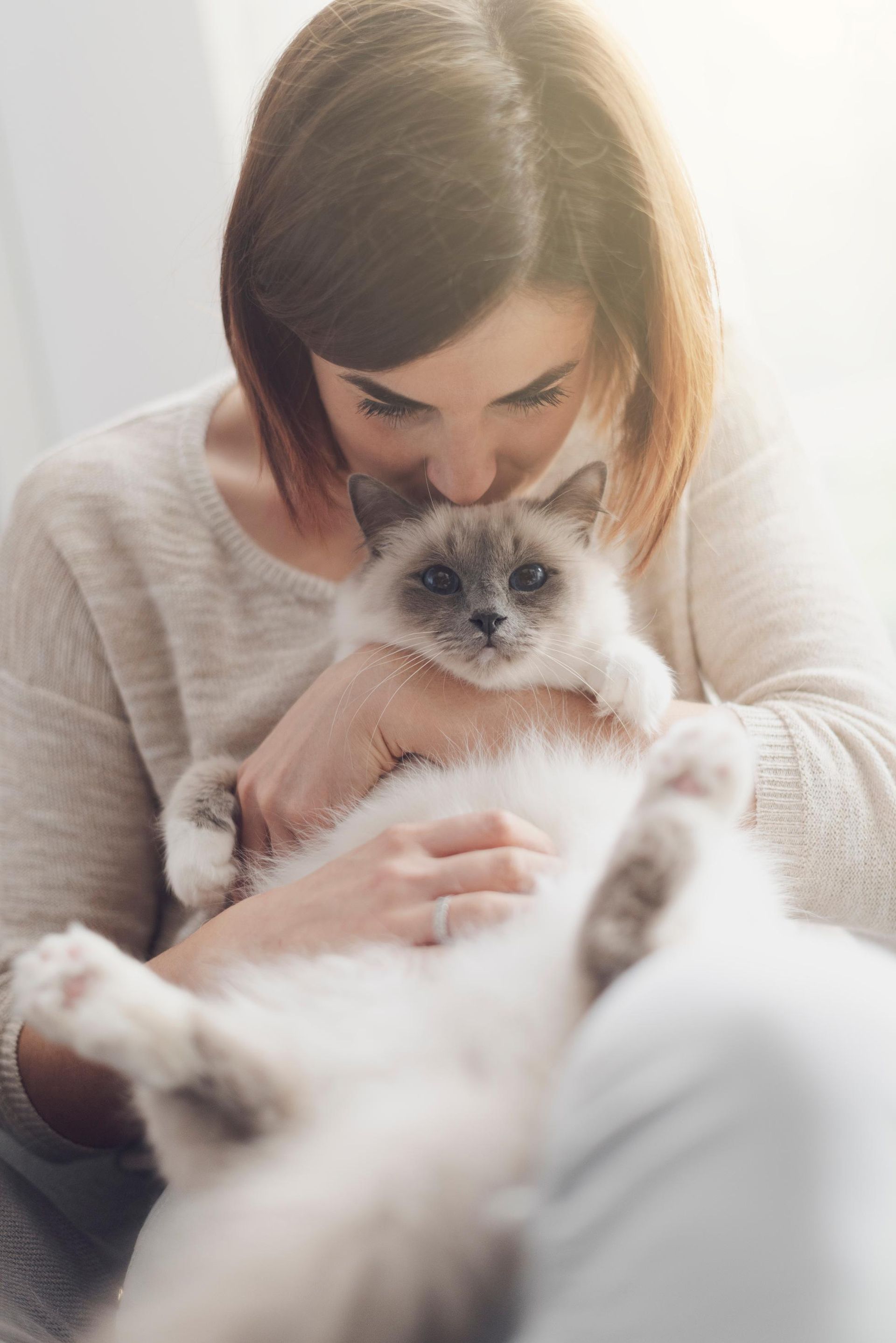 Woman cuddling a fluffy cat indoors, both looking content and relaxed.