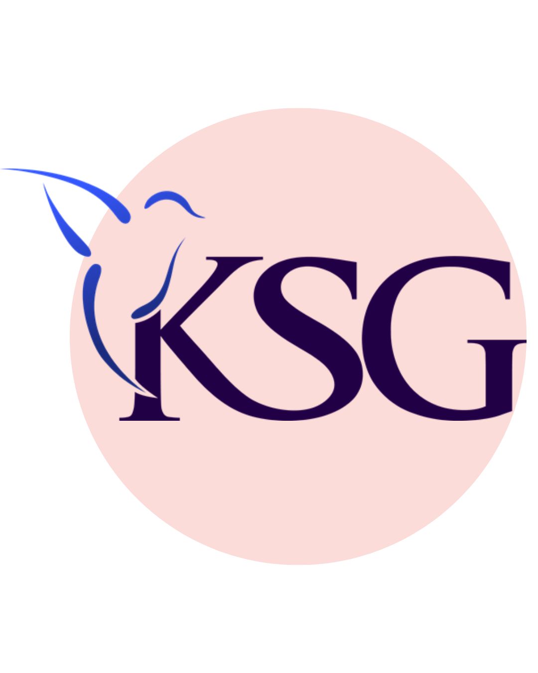 KSG accountants & belastingadviseurs