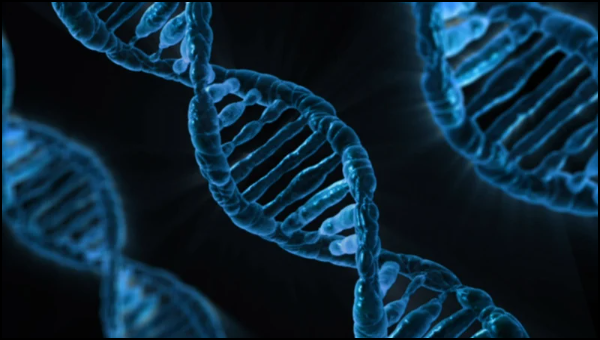 DNA