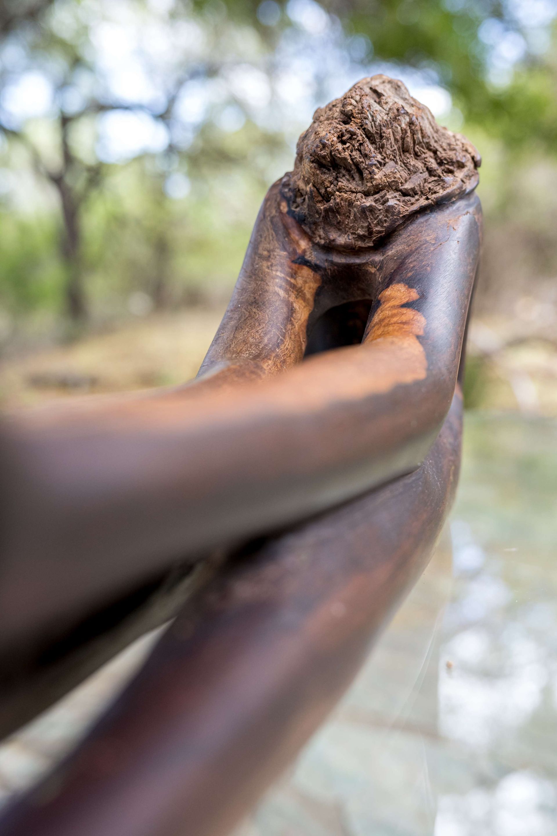 Calling the Ancestors